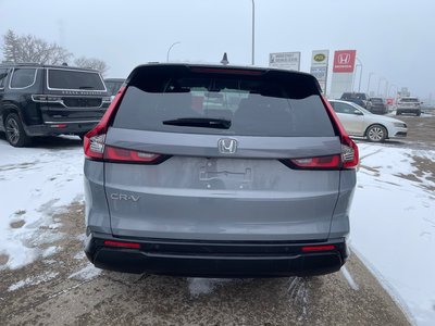 2023 Honda CR-V in Regina, Saskatchewan
