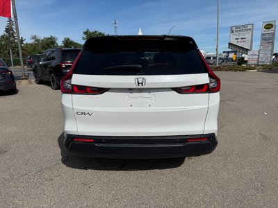 2024 Honda CR-V in Regina, Saskatchewan