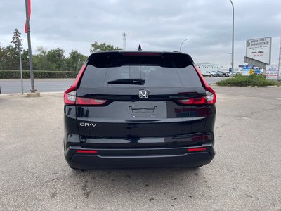 Honda CR-V  2024 à Regina, Saskatchewan
