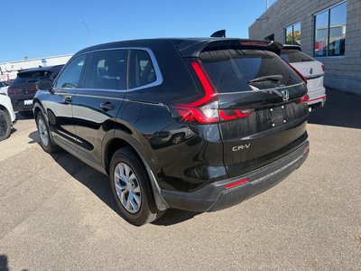 2024 Honda CR-V in Regina, Saskatchewan