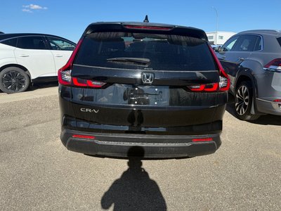2024 Honda CR-V in Regina, Saskatchewan