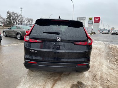2025 Honda CR-V in Regina, Saskatchewan