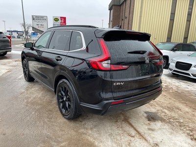 2025 Honda CR-V in Regina, Saskatchewan
