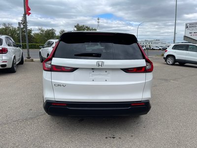 2025 Honda CR-V in Regina, Saskatchewan