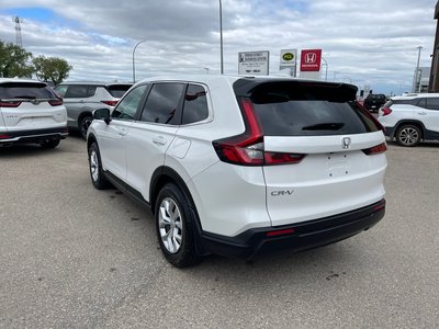 2025 Honda CR-V in Regina, Saskatchewan