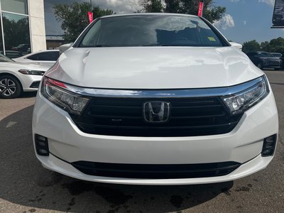 2022 Honda Odyssey in Regina, Saskatchewan