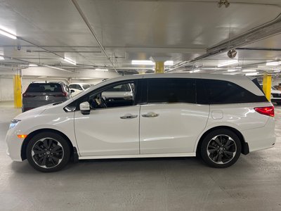 2023 Honda Odyssey in Markham, Ontario