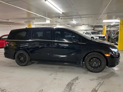 2023 Honda Odyssey in Markham, Ontario