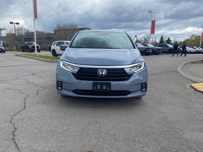 2023 Honda Odyssey in Markham, Ontario