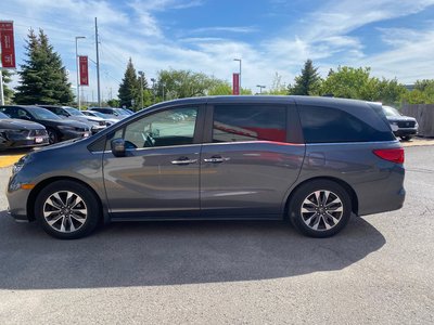 2023 Honda Odyssey in Markham, Ontario