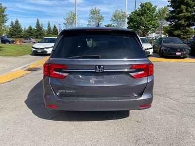 2023 Honda Odyssey in Markham, Ontario