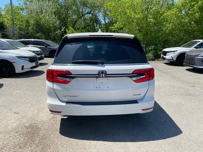 2024 Honda Odyssey in Markham, Ontario