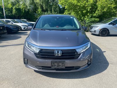 2024 Honda Odyssey in Markham, Ontario