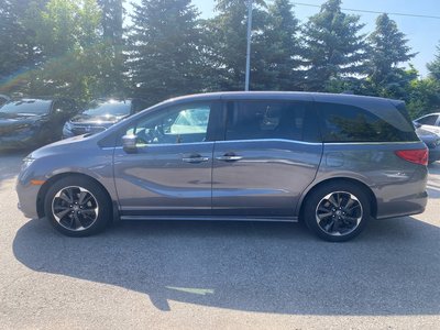 2024 Honda Odyssey in Markham, Ontario