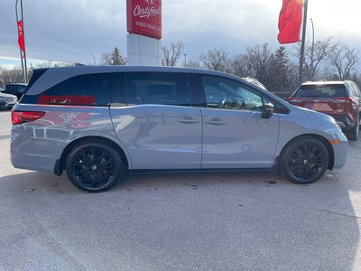 2025 Honda Odyssey in Regina, Saskatchewan