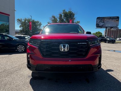 2023 Honda Pilot in Regina, Saskatchewan