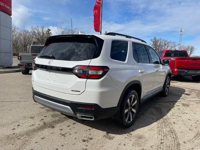 2025 Honda Pilot in Regina, Saskatchewan