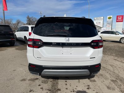 2025 Honda Pilot in Regina, Saskatchewan