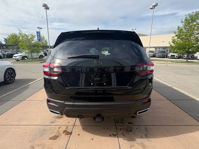 2025 Honda Pilot in Calgary, Alberta