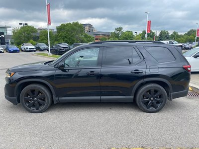 2025 Honda Pilot in Markham, Ontario