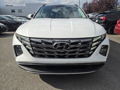 2023 Hyundai Tucson Hybrid in Dollard-des-Ormeaux, Quebec