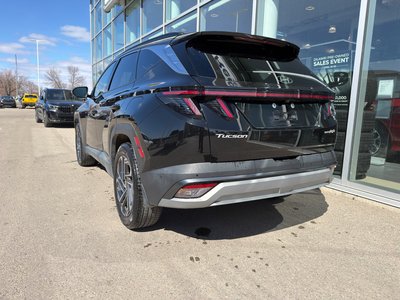 2025 Hyundai Tucson Hybrid in Regina, Saskatchewan