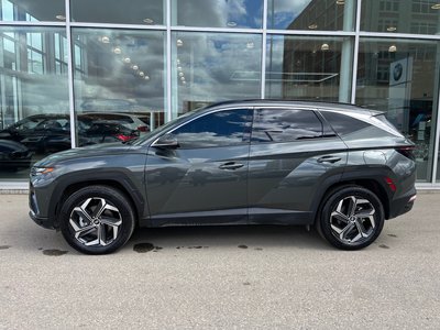 Hyundai Tucson Plug-In Hybrid  2024 à Regina, Saskatchewan