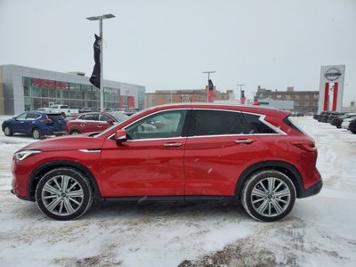 2022 Infiniti QX50 in Regina, Saskatchewan