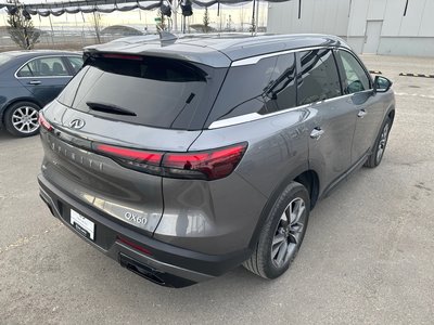 2023 Infiniti QX60 in Calgary, Alberta