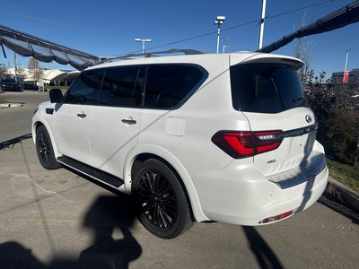 2024 Infiniti QX80 in Calgary, Alberta