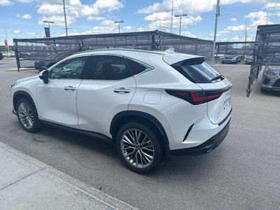 2023 Lexus NX in Calgary, Alberta