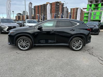 2024 Lexus NX in Laval, Quebec