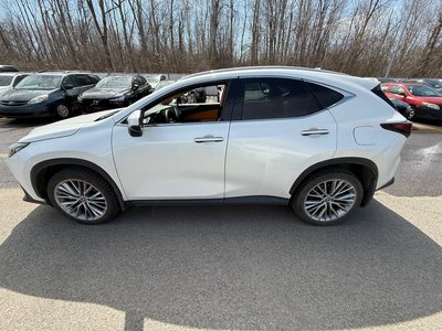 Lexus NX  2024 à Laval, Québec