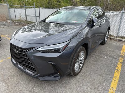 2024 Lexus NX in Laval, Quebec