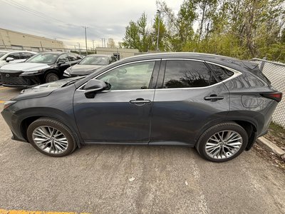 2024 Lexus NX in Laval, Quebec