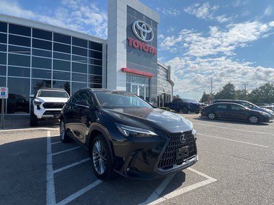 2022 Lexus NXH in Bolton, Ontario
