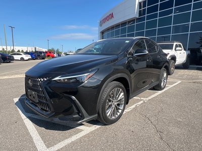 2022 Lexus NXH in Bolton, Ontario