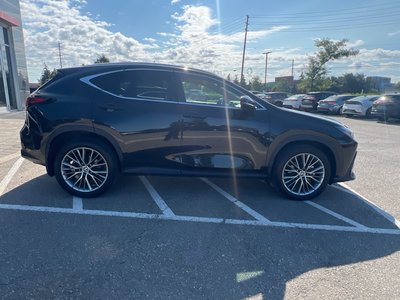 2022 Lexus NXH in Bolton, Ontario