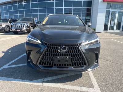 2022 Lexus NXH in Bolton, Ontario