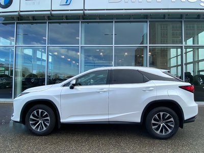 2022 Lexus RX in Regina, Saskatchewan