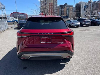 2023 Lexus RX in Regina, Saskatchewan