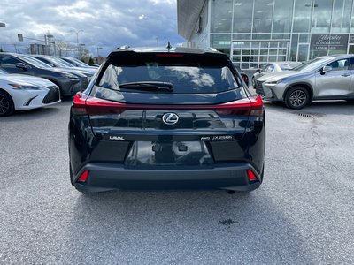 2023 Lexus UX 250h in Laval, Quebec
