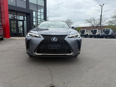 2019 Lexus UX in Woodbridge, Ontario