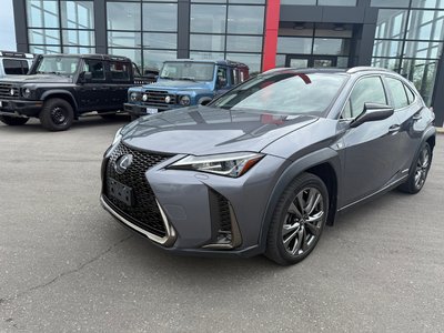 2019 Lexus UX in Mississauga, Ontario