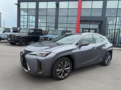 2019 Lexus UX in Mississauga, Ontario