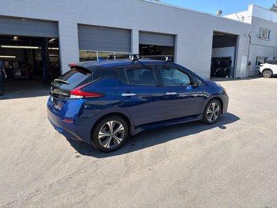 2020  Leaf in Vancouver, British Columbia