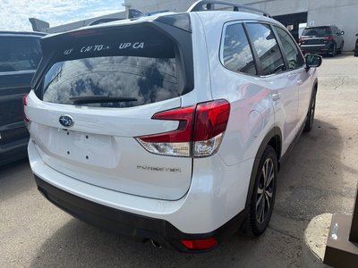 2024 Subaru Forester in Regina, Saskatchewan