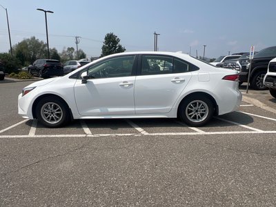 Toyota COROLLA HYBRID  2024 à Bolton, Ontario