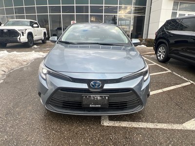 2025 Toyota Corolla Hybrid in Bolton, Ontario
