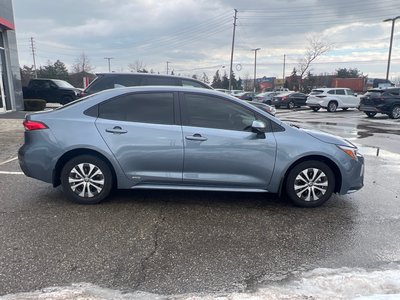 2025 Toyota Corolla Hybrid in Bolton, Ontario